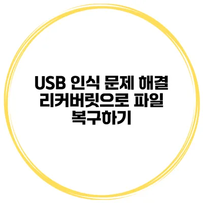 USB 인식 문제 해결 리커버릿으로 파일 복구하기