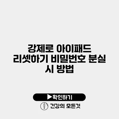 강제로 아이패드 리셋하기 비밀번호 분실 시 방법