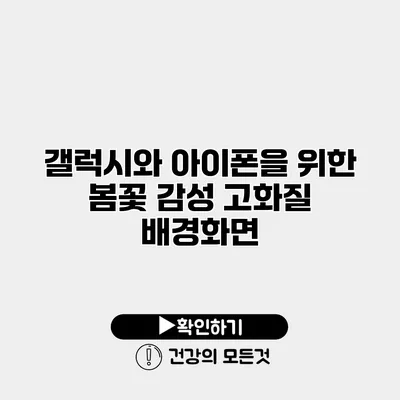 갤럭시와 아이폰을 위한 봄꽃 감성 고화질 배경화면