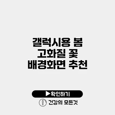 갤럭시용 봄 고화질 꽃 배경화면 추천