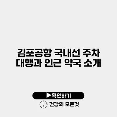 김포공항 국내선 주차 대행과 인근 약국 소개