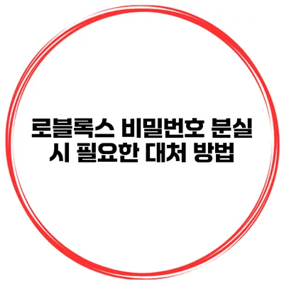 로블록스 비밀번호 분실 시 필요한 대처 방법