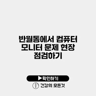 반월동에서 컴퓨터 모니터 문제 현장 점검하기