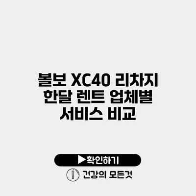 볼보 XC40 리차지 한달 렌트 업체별 서비스 비교