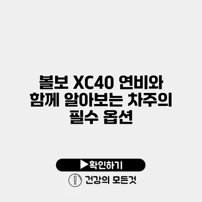 볼보 XC40 연비와 함께 알아보는 차주의 필수 옵션