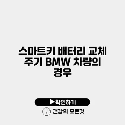 스마트키 배터리 교체 주기 BMW 차량의 경우