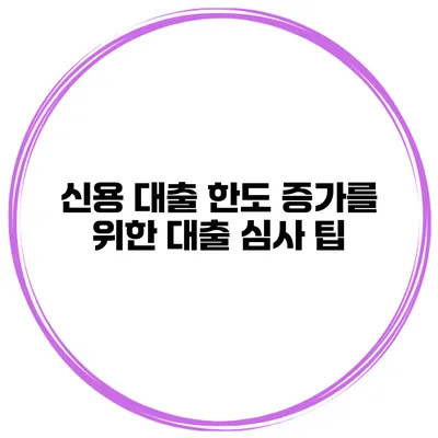 신용 대출 한도 증가를 위한 대출 심사 팁