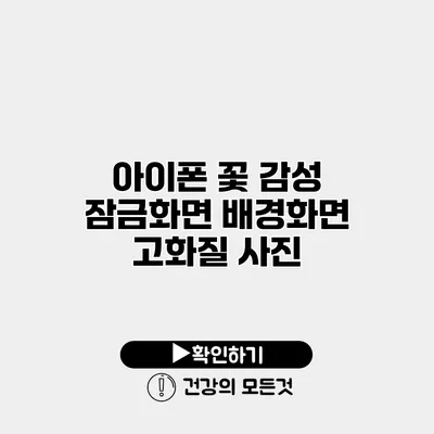 아이폰 꽃 감성 잠금화면 배경화면 고화질 사진