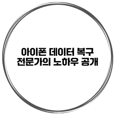 아이폰 데이터 복구 전문가의 노하우 공개