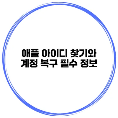애플 아이디 찾기와 계정 복구 필수 정보