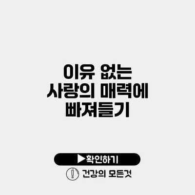 이유 없는 사랑의 매력에 빠져들기