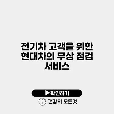 전기차 고객을 위한 현대차의 무상 점검 서비스