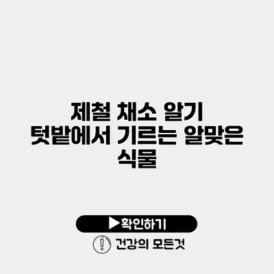 제철 채소 알기 텃밭에서 기르는 알맞은 식물
