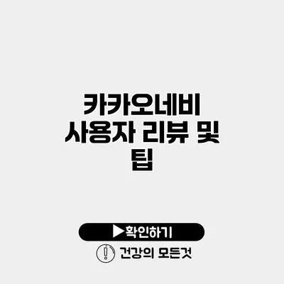 카카오네비 사용자 리뷰 및 팁