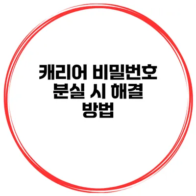 캐리어 비밀번호 분실 시 해결 방법