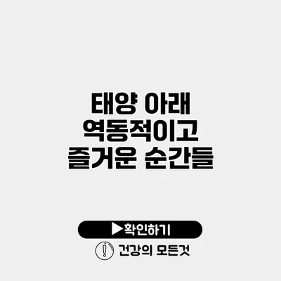 태양 아래 역동적이고 즐거운 순간들