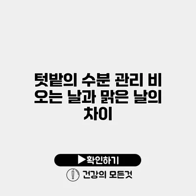 텃밭의 수분 관리 비 오는 날과 맑은 날의 차이