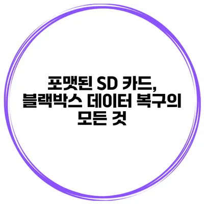 포맷된 SD 카드, 블랙박스 데이터 복구의 모든 것