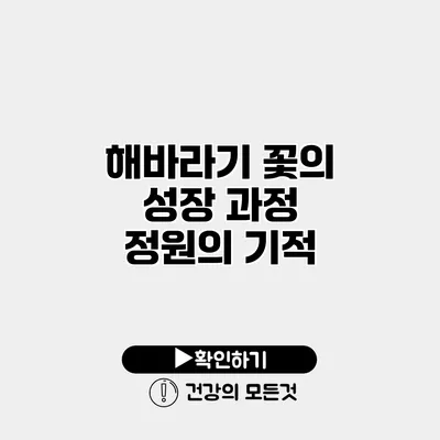 해바라기 꽃의 성장 과정 정원의 기적