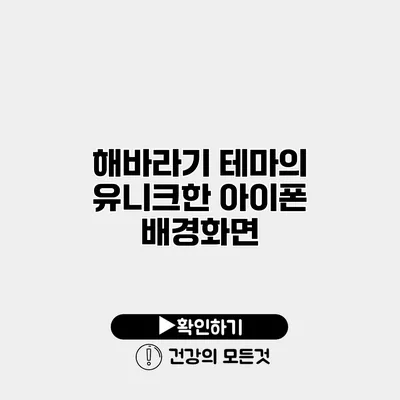 해바라기 테마의 유니크한 아이폰 배경화면