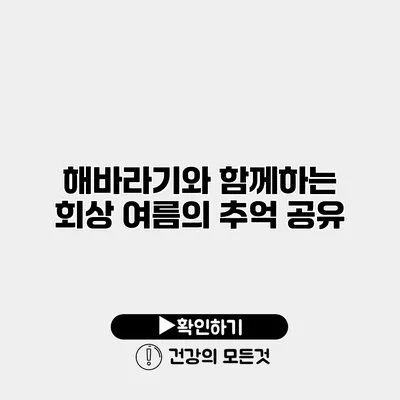 해바라기와 함께하는 회상 여름의 추억 공유