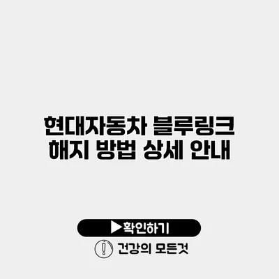 현대자동차 블루링크 해지 방법 상세 안내